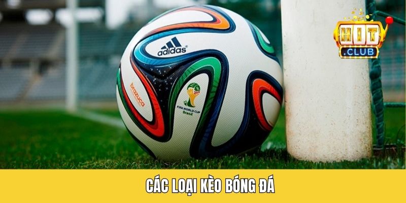 Các Loại Kèo Bóng Đá - Hướng Dẫn Đọc Tỷ Lệ Chuẩn Xác 100%