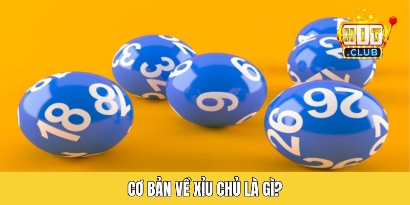 Cơ bản về xỉu chủ là gì?
